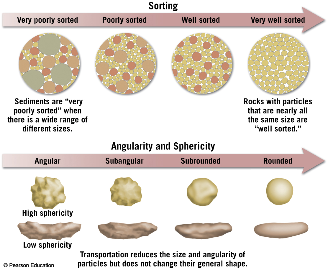 sedment_size_shape.fw.png