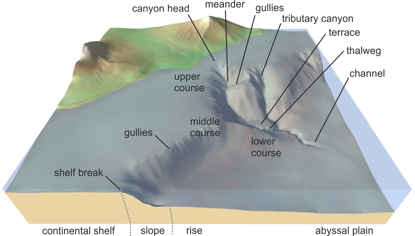 Sketch showing the main elements of a submarine canyon