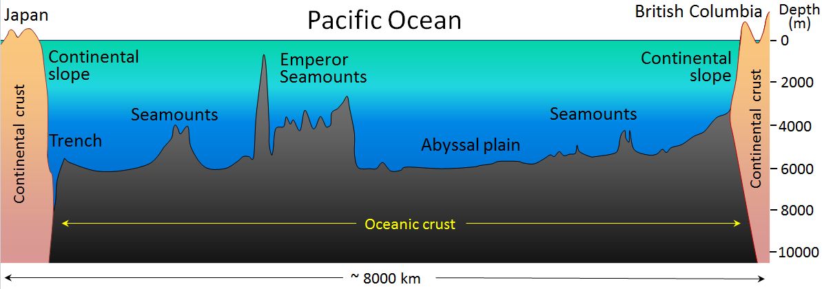 The generalized topography of the Pacific Ocean sea floor between Japan and British Columbia. The vertical exaggeration is approximately 200 times. 