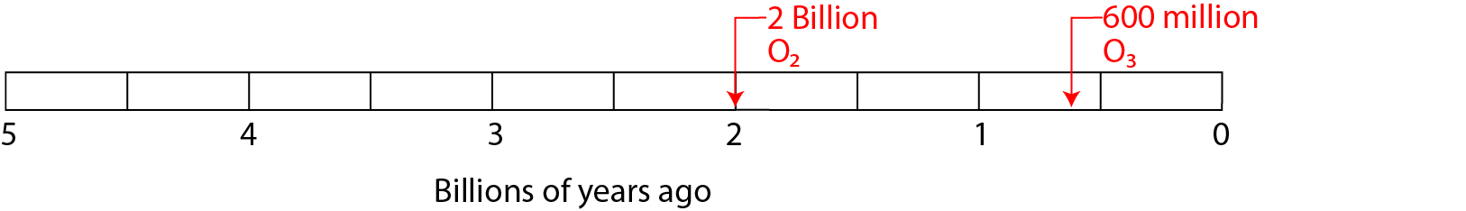 Timeline from 5 billion years ago to now, with 2 billion and 600 million years noted.