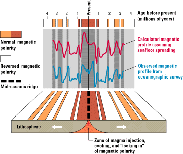 A comparison of the observed magnetic profile for the seafloor across the East Pacific Rise against a profile calculated from the Earth's known magnetic reversals, assuming a constant rate of spreading. 