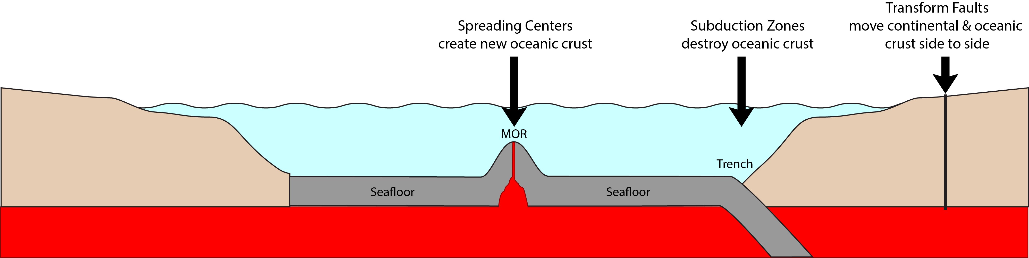 Profile extending from the continental margin (left), dropping off to the deep sea floor, where there is a spreading center in the middle.  The abyssal plain continues to the left before subducting beneath another continental plate on the right.  Locations of the spreading center, subduction zone, and transform faults are noted.