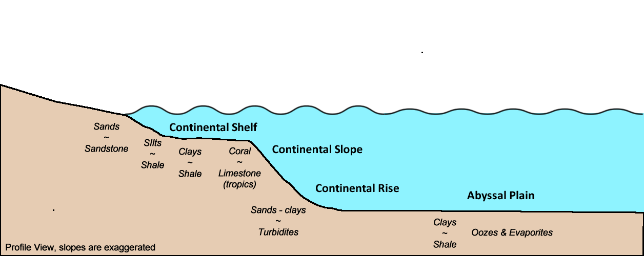 Sedimentary Depositional Environment